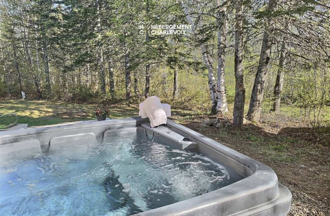 BOI-2 - Grand chalet avec billard, spa et nature